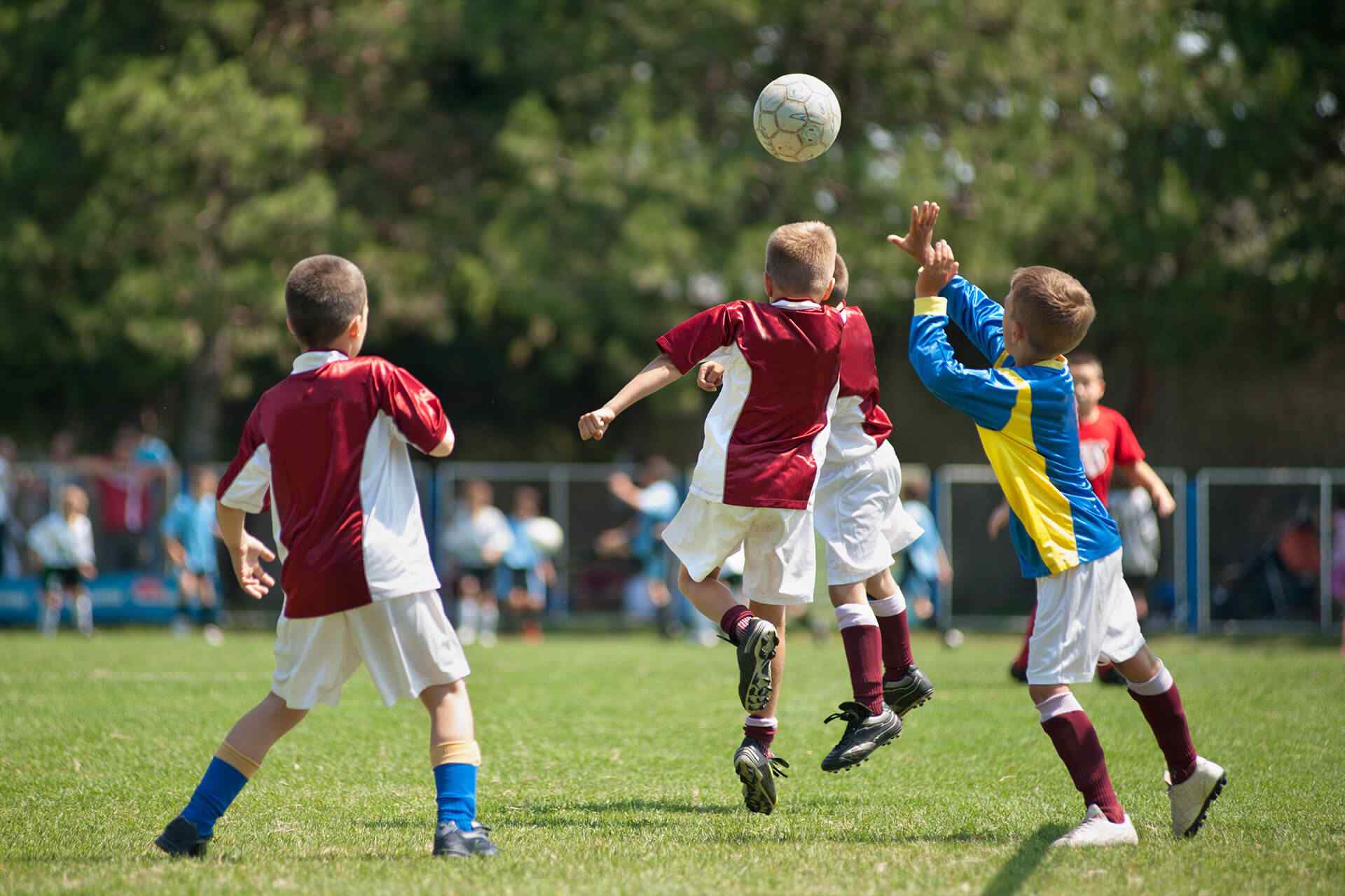 portfolio_02 portfolio_02