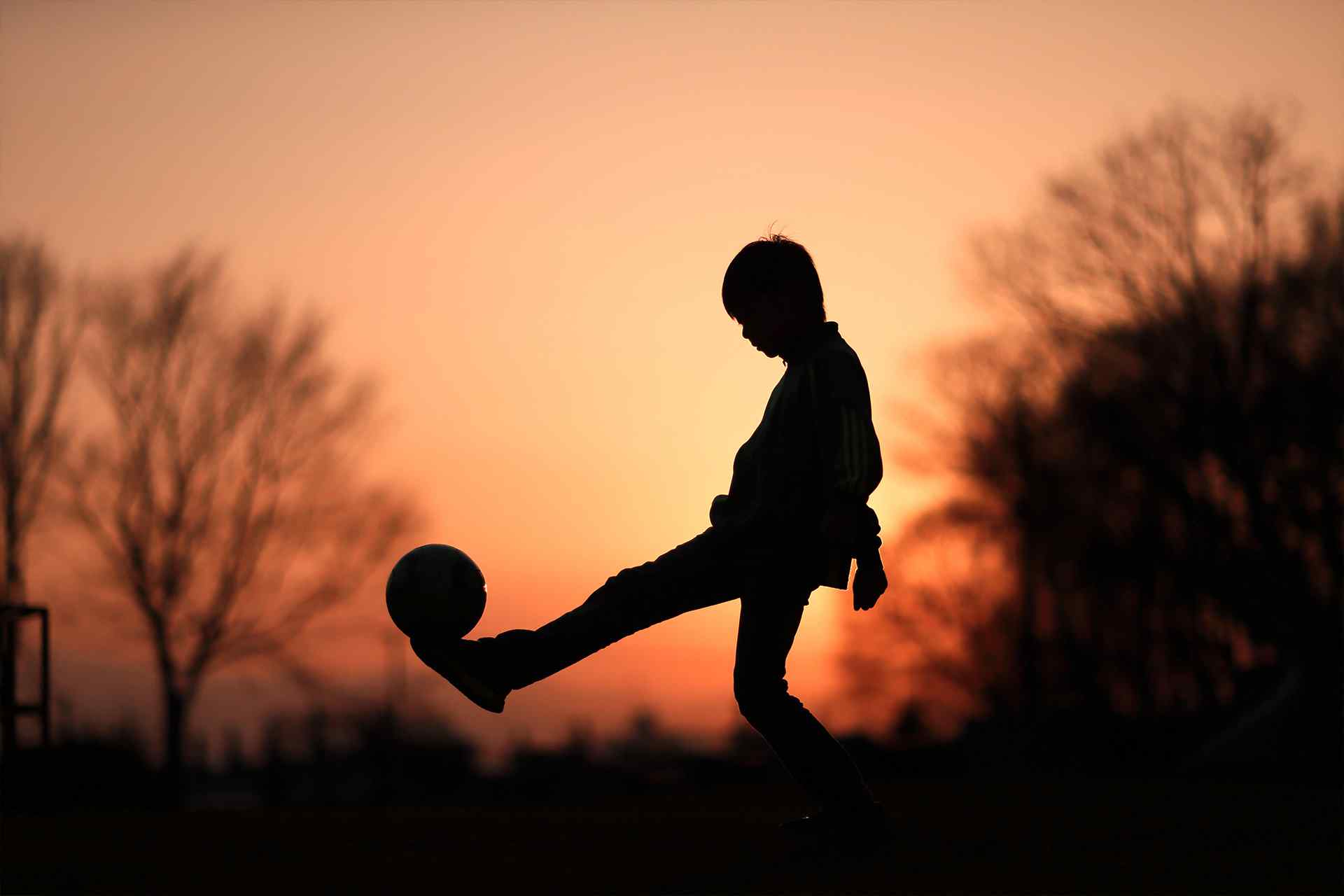 portfolio_04 portfolio_04